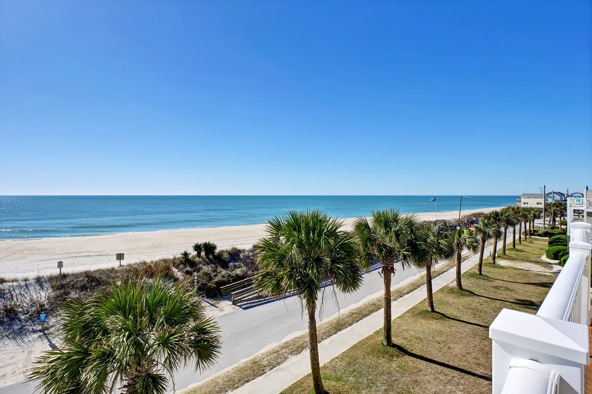 The hero image showcases a breathtaking view of the ocean and sandy beach, framed by swaying palm trees under a vast, serene sky. The tranquil shoreline invites relaxing walks, sunbathing, and family fun like building sandcastles or exploring tidal pools, with the promise of dazzling sunrises and sunsets.